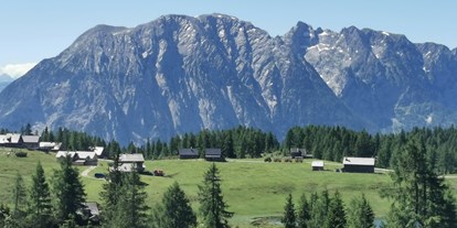 Wanderurlaub - Umgebungsschwerpunkt: am Land - Oberösterreich - Berggasthof Hollhaus