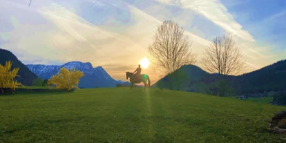 Wanderurlaub - persönliche Tourenberatung - Ried (Sankt Gilgen) - Ausritt mit den Pferdefreunden Zloam - Narzissendorf Zloam