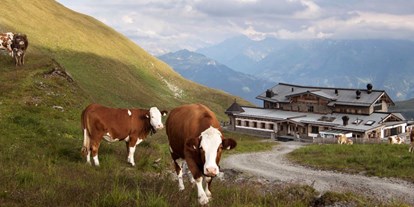 Wanderurlaub - Touren: Wanderung - Tirol - Hochalpines Almgebiet, Wandergebiet Hochzillertal, Kaltenbach, Zillertal, Zillertaler Höhenstrasse, Gipfel Wimbachkopf, Gipfel Marchkopf, Gipfel Gedrechter - Wedelhütte Hochzillertal