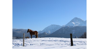 Wanderurlaub - Touren: Bergtour - Füssen - Winterwandern - Die Lilie - Hotel Garni