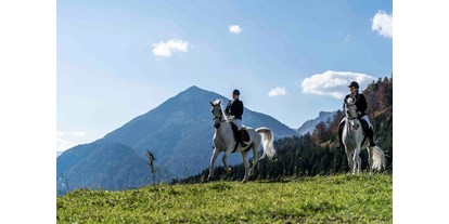 Wanderurlaub - persönliche Tourenberatung - Alpbach - Lipizzaner - Posthotel Achenkirch