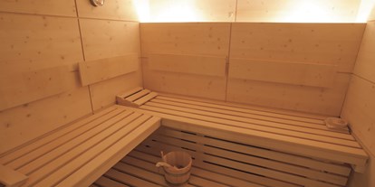 Wanderurlaub - Ausrüstungsverleih: Kindertrage - St. Moritz - Wellnessbereich - Sauna - Aparthotel Muchetta