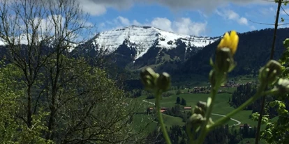 Wanderurlaub - Fahrstuhl - Ofterschwang - "Der Hochgrat" einer der Nagelfluhgipfel
hier im Frühling - Vitalhotel Interest 