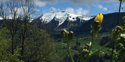 Wanderurlaub - Trockenraum - Maierhöfen (Landkreis Lindau) - "Der Hochgrat" einer der Nagelfluhgipfel
hier im Frühling - Vitalhotel Interest 