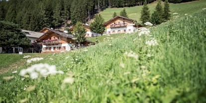 Wanderurlaub - Ausrüstungsverleih: Kletterausrüstung - Trentino-Südtirol - Taser Alm