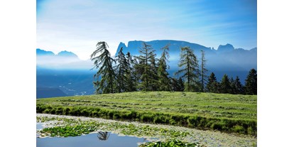 Wanderurlaub - Hunde: auf Anfrage - Wolkenstein-Gröden - Traumhafte Aussichten  - Berghotel Zum Zirm