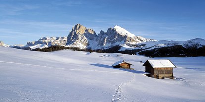 Wanderurlaub - Wanderschuhe: 4 Wanderschuhe - Trentino-Südtirol - Berglandhotel Untertheimerhof