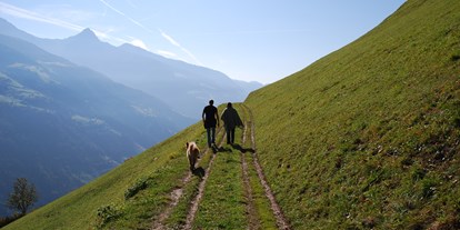 Wanderurlaub - Hotel-Schwerpunkt: Wandern mit Hund - Trentino-Südtirol - Activ Resort BAMBOO
