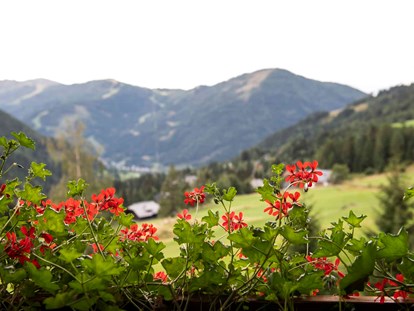 Wanderurlaub - Touren: Bergtour - Döbriach - Wunderbarer Weitblick vom Balkon aus
©️ Rupert Mühlbacher - Hotel St. Oswald