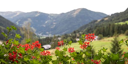 Wanderurlaub - Touren: Bergtour - Österreich - Wunderbarer Weitblick vom Balkon aus
©️ Rupert Mühlbacher - Hotel St. Oswald
