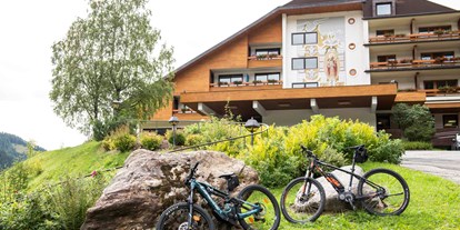 Wanderurlaub - Touren: Trailrunning - Direkt mit dem Bike vom Hotel starten
©️ Rupert Mühlbacher - Hotel St. Oswald