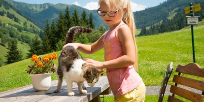 Wanderurlaub - Ausrüstungsverleih: Kindertrage - Kleinarl - Katzen und viele andere Tiere Hotel Lammwirt Großarl - Hotel Lammwirt