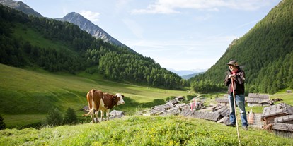 Wanderurlaub - Touren: Bergtour - Spinges-Mühlbach - Fane Alm - Hotel Masl