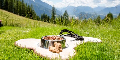 Wanderurlaub - geführte Wanderungen - Seefeld in Tirol - Hundefreundliches Hotel - Inntalerhof - DAS Panoramahotel