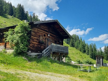 Wanderurlaub - Wanderschuhe: 1 Wanderschuh - Österreich - unsere Alm - Metzgerwirt