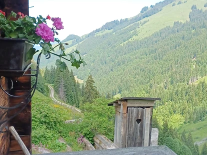 Wanderurlaub - Ausrüstungsverleih: Rucksäcke - Mayrhofen (Mittersill) - unsere Alm - Metzgerwirt