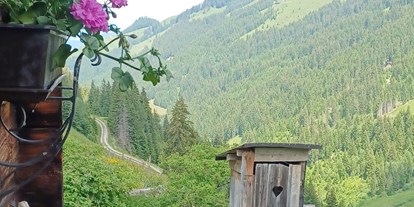 Wanderurlaub - Touren: Wanderung - Tirol - unsere Alm - Metzgerwirt