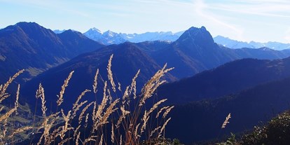 Wanderurlaub - Touren: Trailrunning - Blick auf den Großen Rettenstein - Metzgerwirt