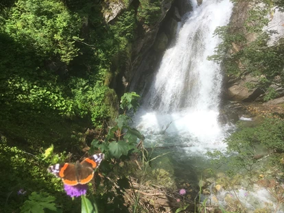 Wanderurlaub - Ausrüstungsverleih: Kindertrage - Loferstein - Wasserfall Aschau - Metzgerwirt