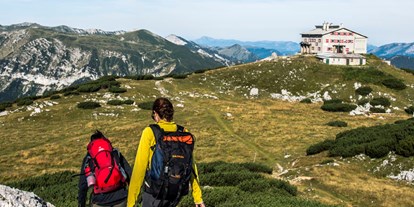 Wanderurlaub - Schwierigkeit Wanderungen: Alpine Route - Niederösterreich - Hotel Marienhof