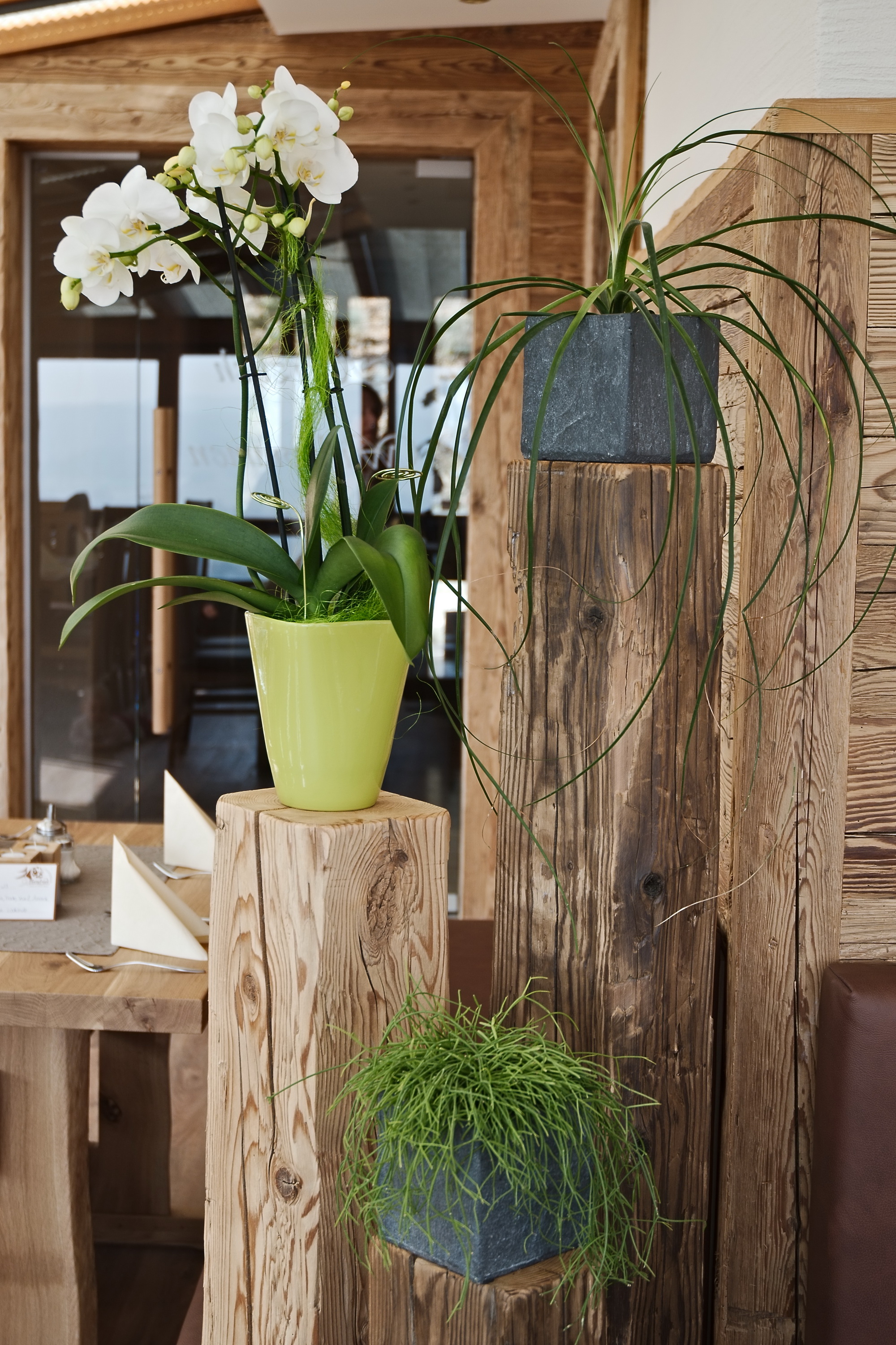 Wanderurlaub - PLZ 93449 (Deutschland) - Natur-Hunde-Hotel Bergfried