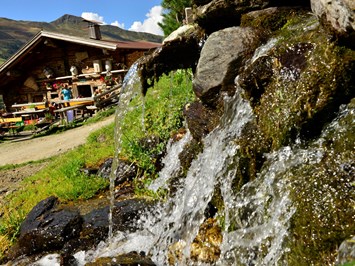 Alpbacherhof - Mountain & Spa Resort Almen Faulbaumgartenalm