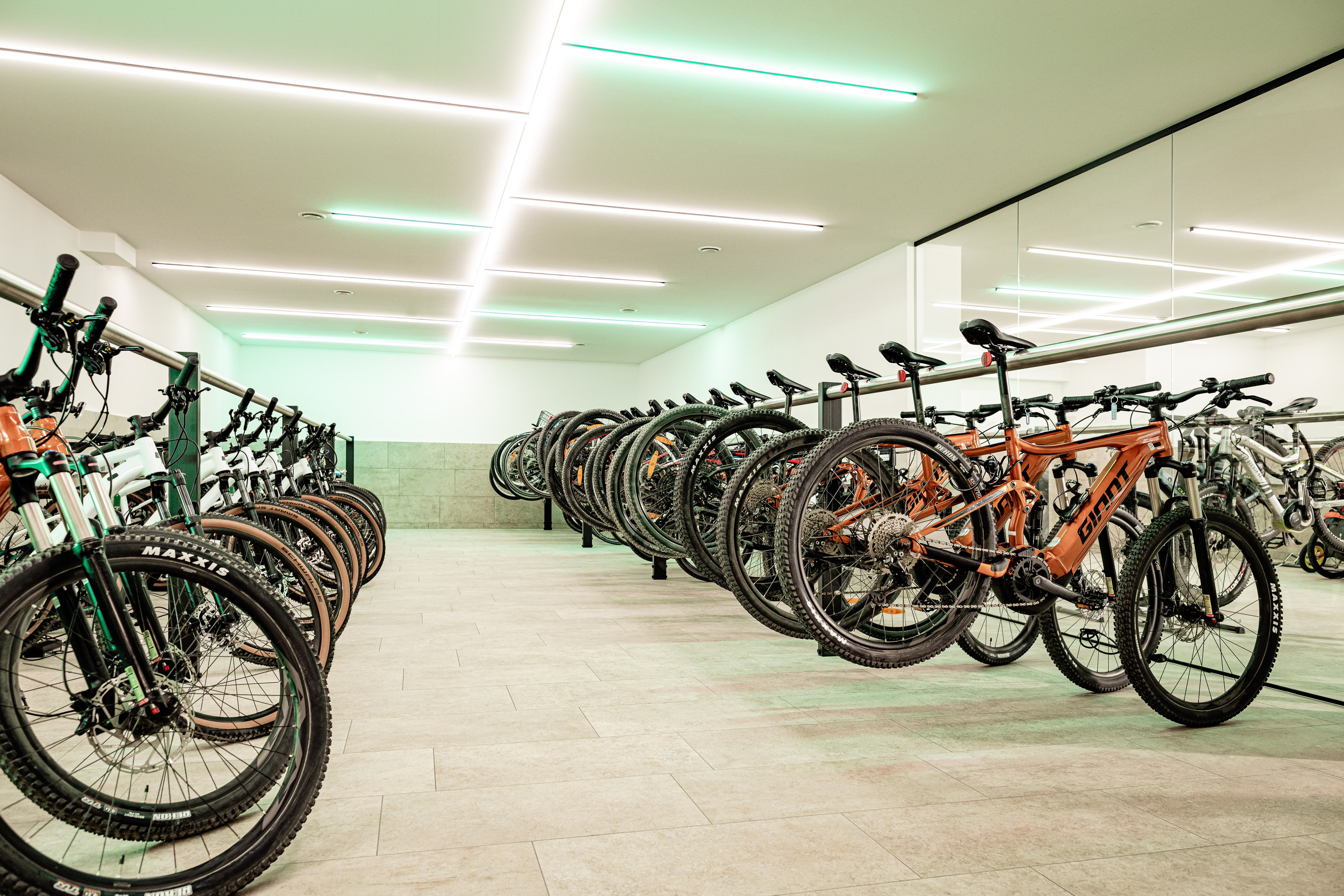 Wanderhotel: Lake Spa Hotel SEELEITEN