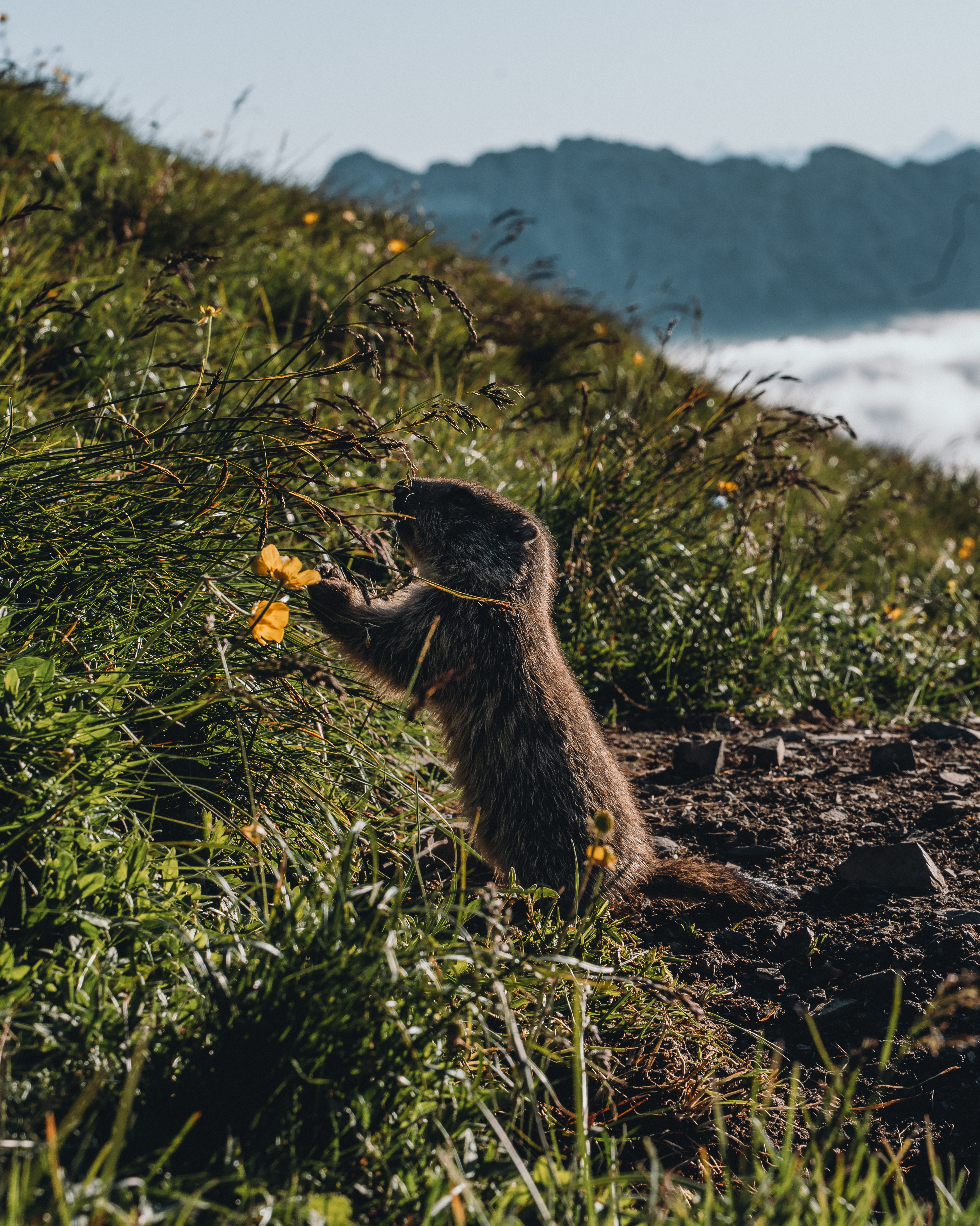 Wanderhotel: Sensoria Dolomites