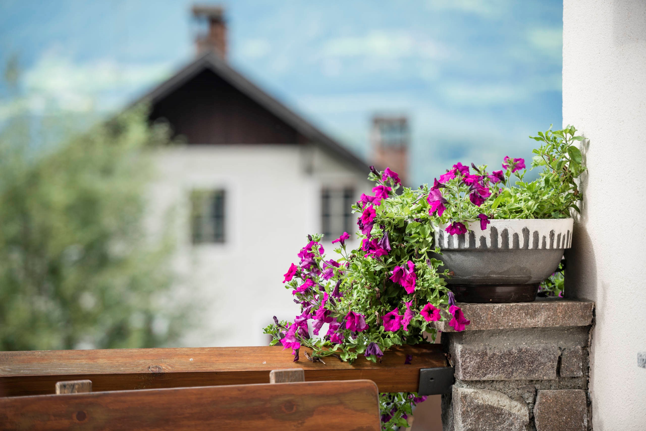 Wanderhotel: Terrasse - Hotel Am Anger