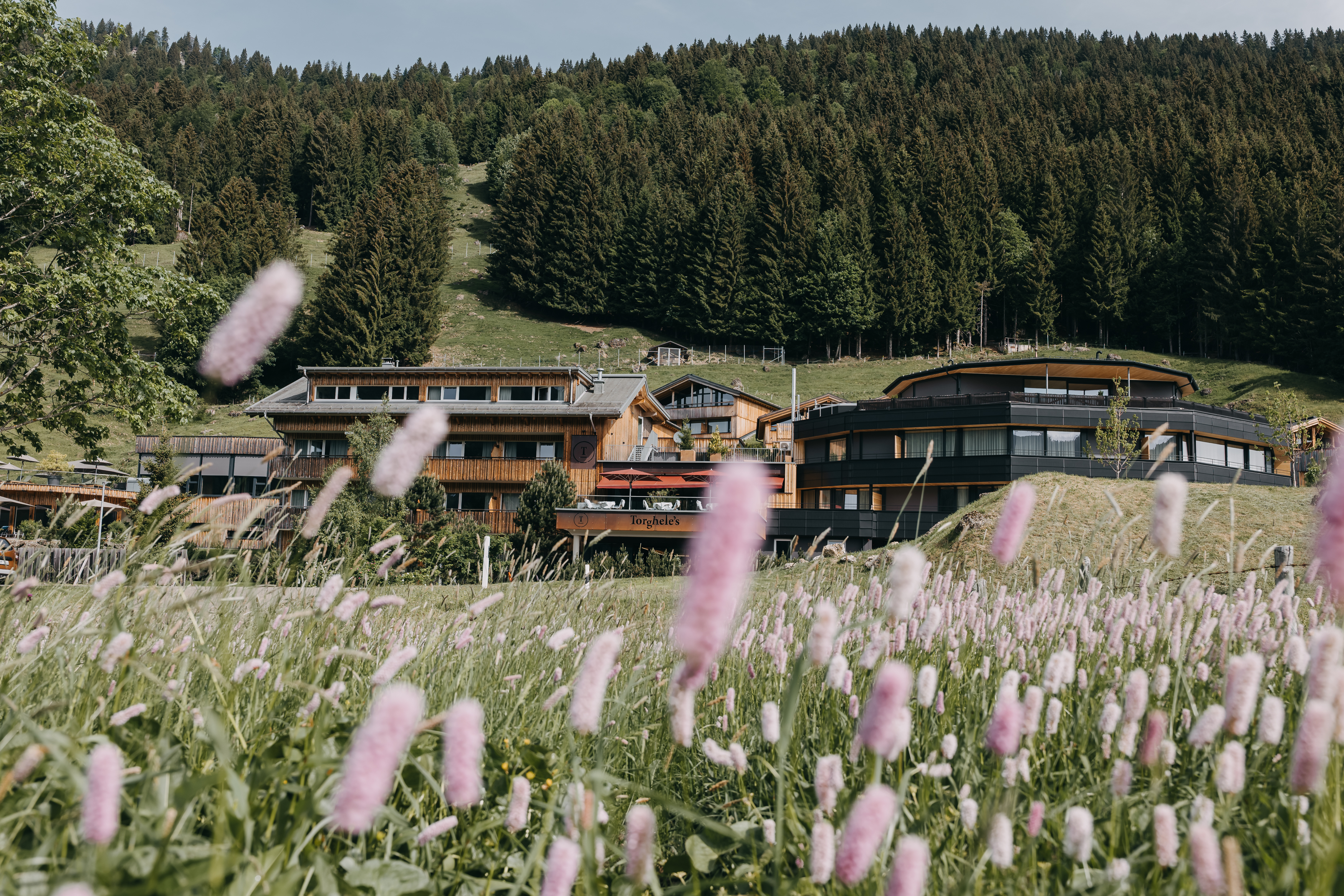 Wanderurlaub - geführte Wanderungen - Allgäu / Bayerisch Schwaben - Torghele's Wald & Fluh