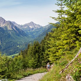 Wanderhotel: Alpin Lodges Oberjoch