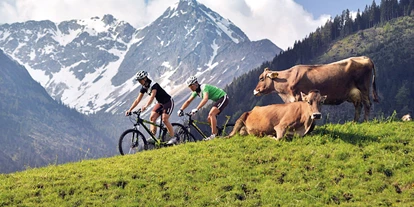 Wanderurlaub - Allgäu - Alpin Lodges Oberjoch