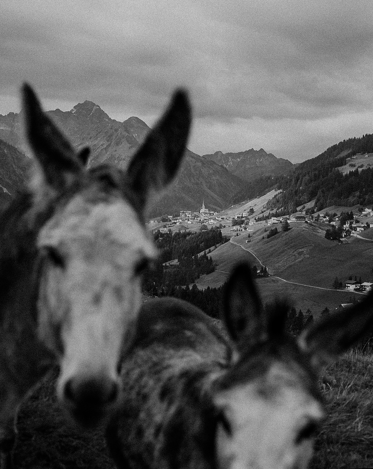 Wanderhotel: Esel - Das Naturhotel Chesa Valisa****s