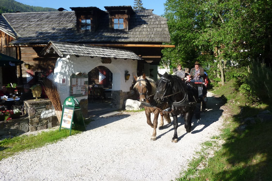 Wanderhotel: Pferdekutschen-Erlebnisfahrten - Hotel GUT Trattlerhof & Chalets****
