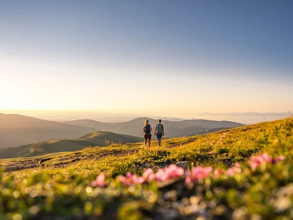Wanderurlaub - Fahrstuhl - Wandern in den Kärntner Nockbergen - Hotel GUT Trattlerhof & Chalets****S