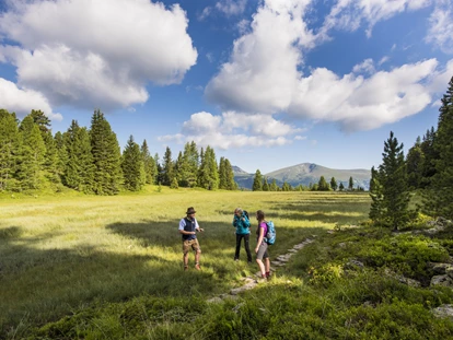 Wanderurlaub - Fahrstuhl - 3-Seen-Runde - Hotel GUT Trattlerhof & Chalets****S