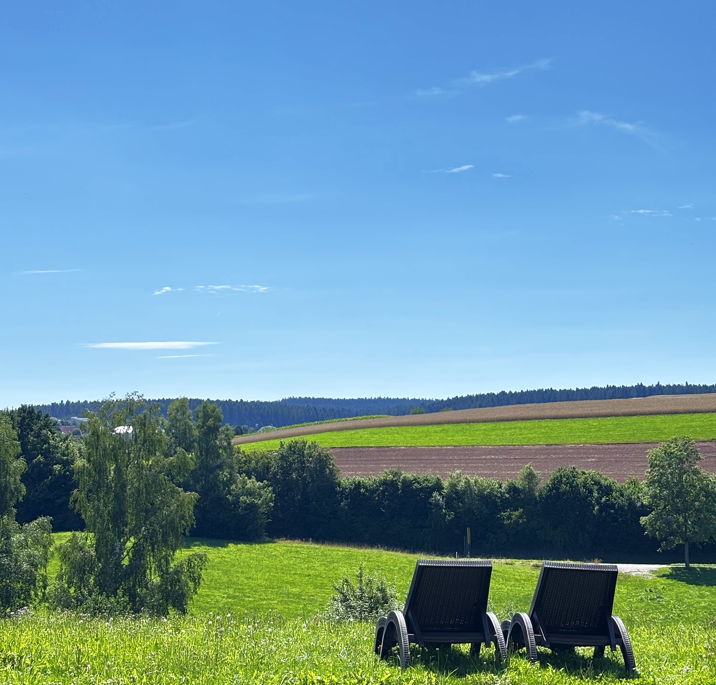 Wanderhotel: Umgebung - Hotel-Resort Waldachtal