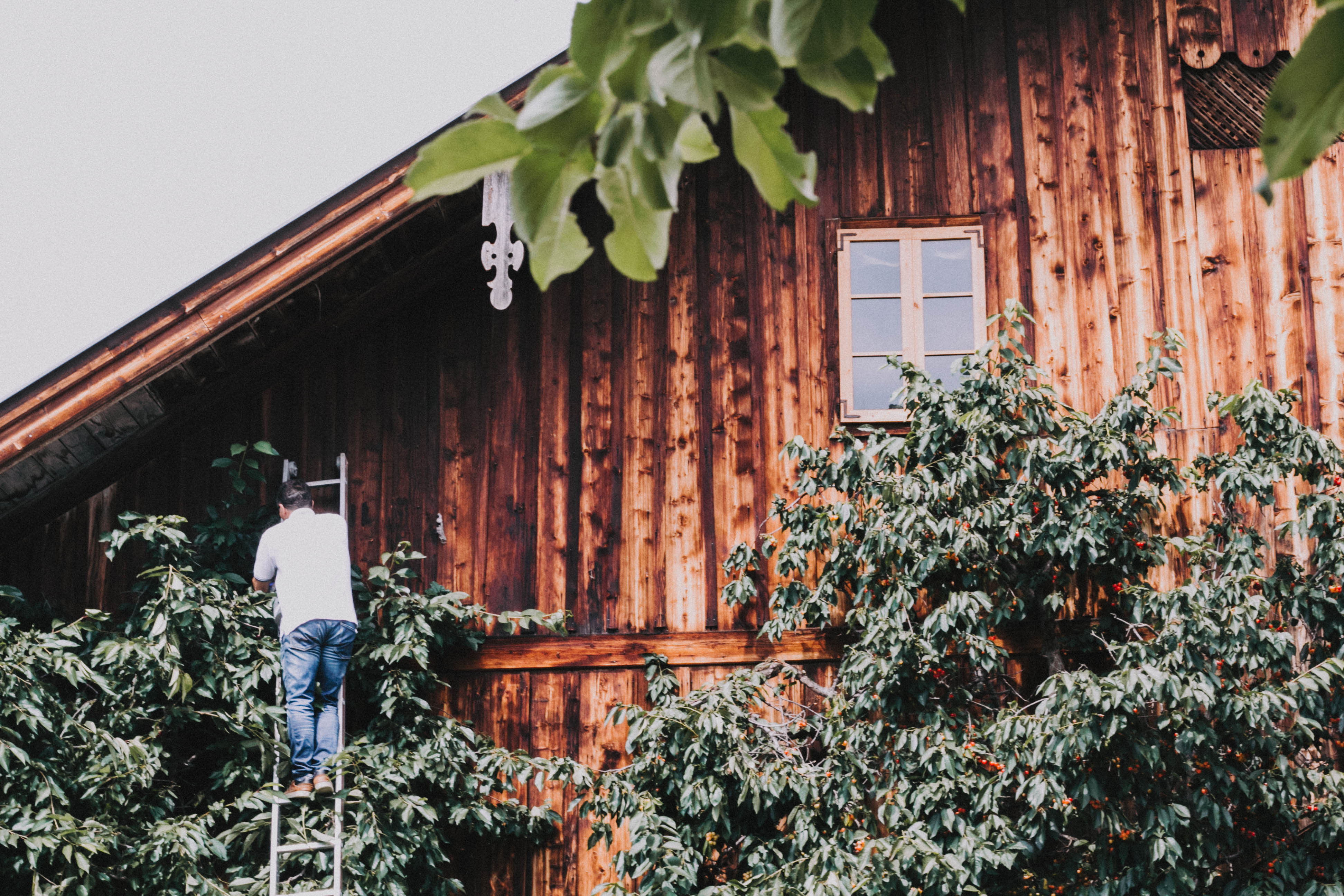 Wanderhotel: Hotel Gut Weissenhof ****S