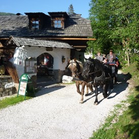 Wanderhotel: Pferdekutschen Express - Trattlers Hof-Chalets