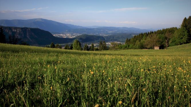 Wanderhotel: Ausblick vom Naturgut - Naturgut Gailtal