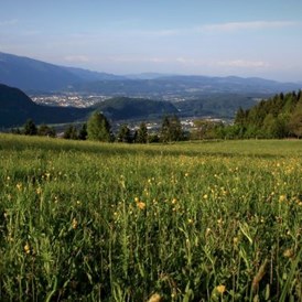 Wanderhotel: Ausblick vom Naturgut - Naturgut Gailtal