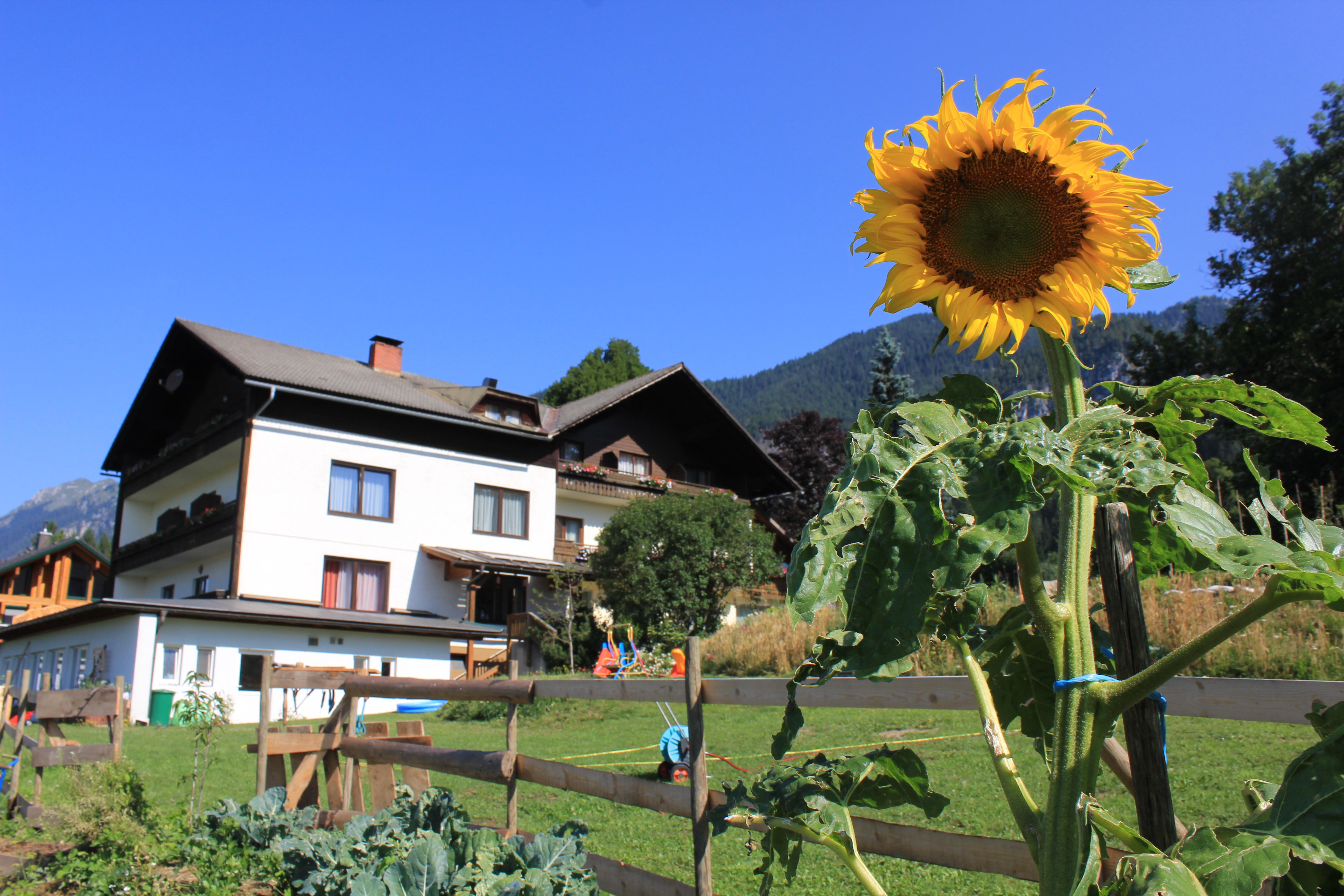 Wanderhotel: Naturgut Gailtal & Wirtshaus "Zum Gustl" - Naturgut Gailtal