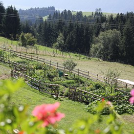 Wanderhotel: Hauseigener Garten mit frischem Gemüse - Naturgut Gailtal