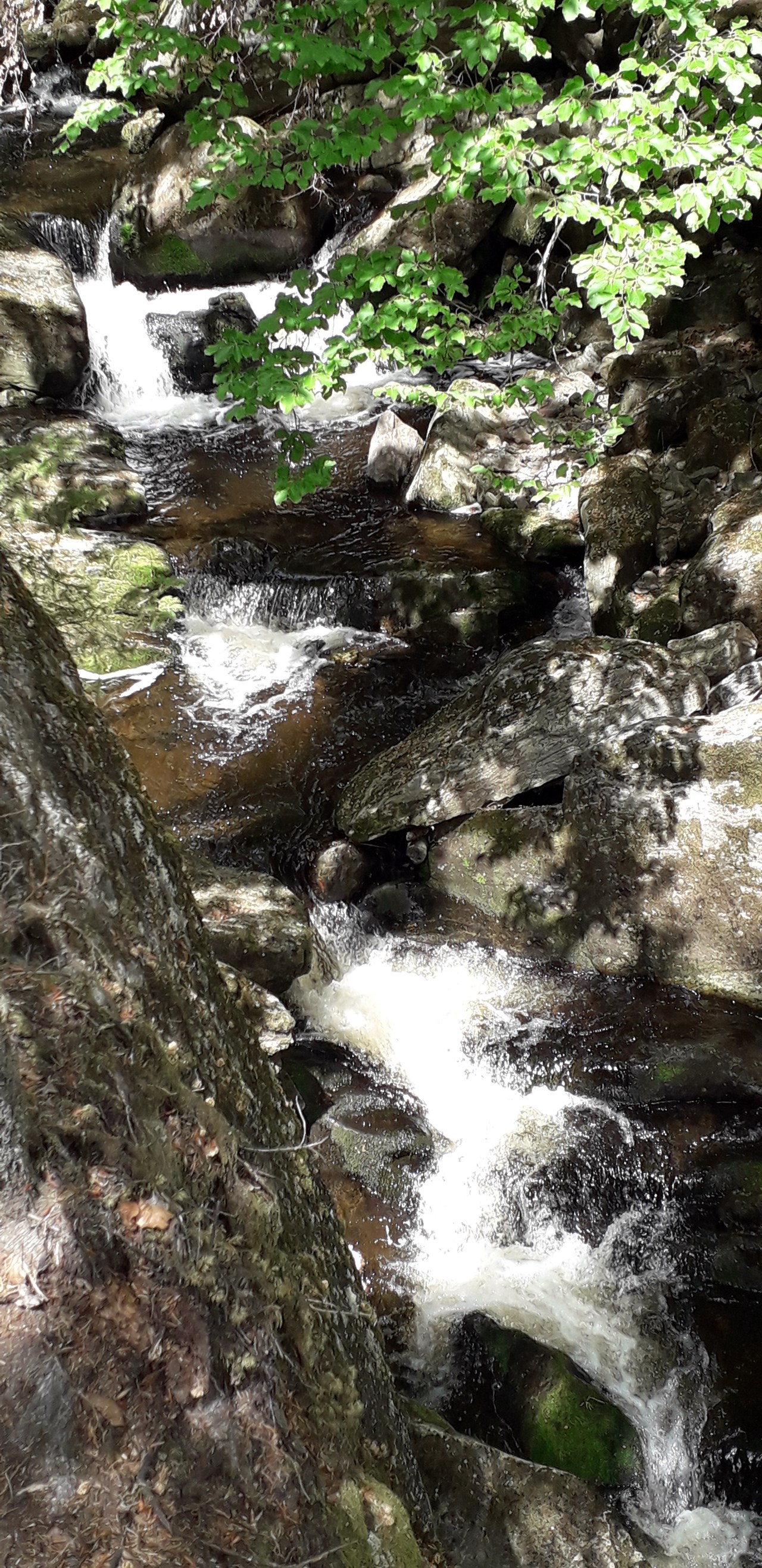 Panoramahotel Grobauer Tourentipps Steinklammtour