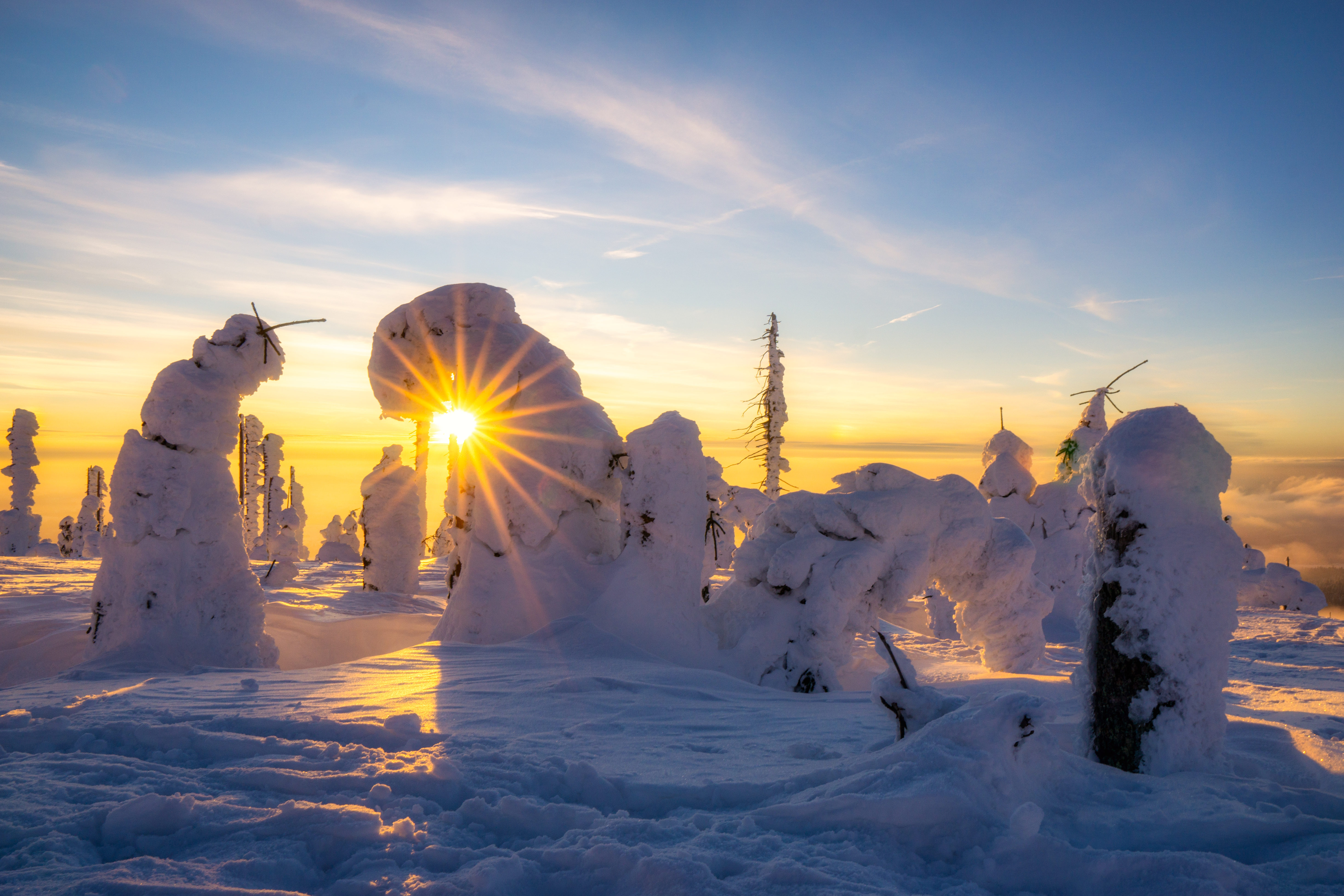 Wanderhotel: Großer Rachel  - Hotel & Residence Hochriegel