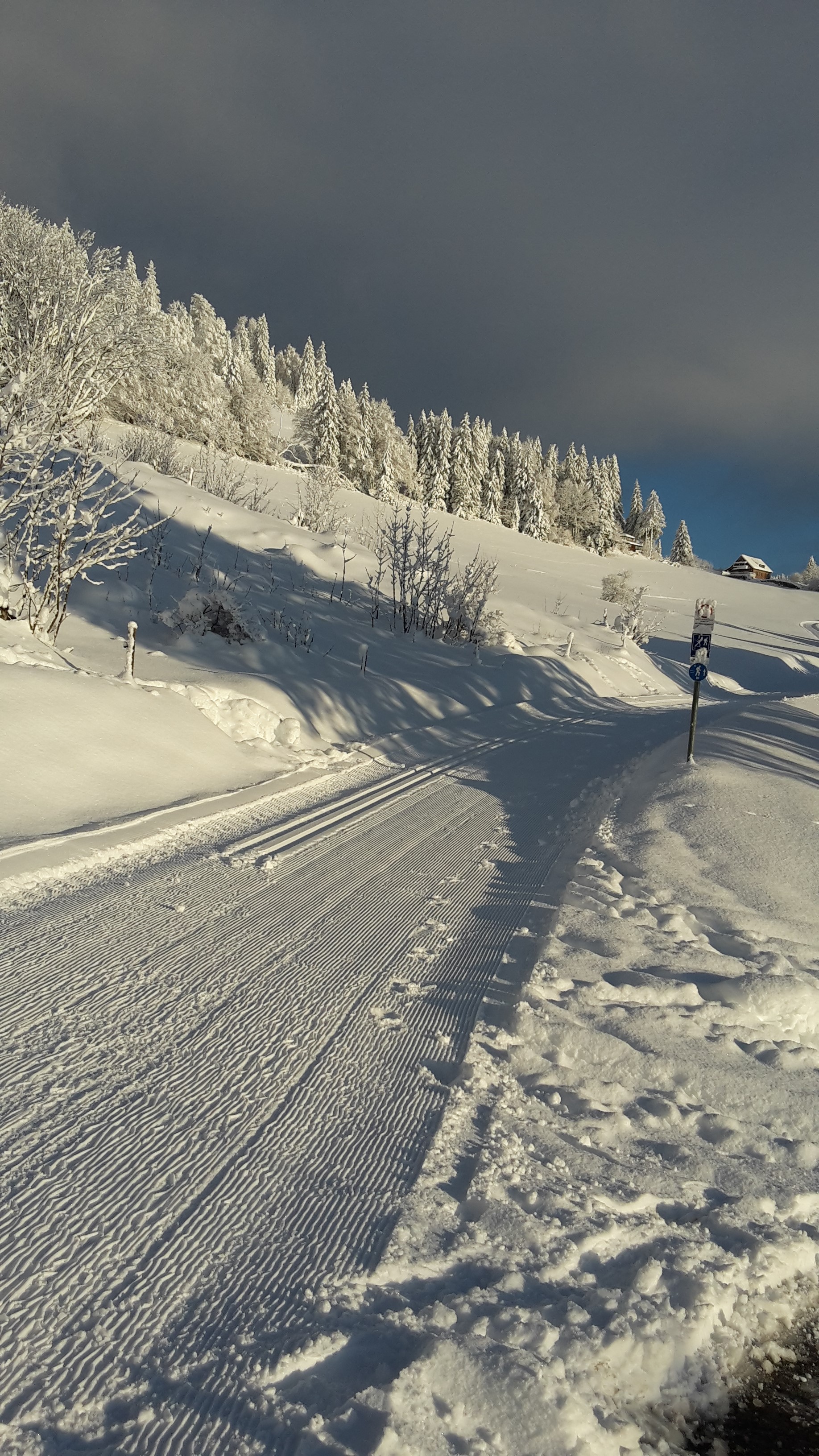 Wanderhotel: Loipen Netz Schwarzwald Stübenwasen - Bergseele Privat- & Retreathotel Schwarzwald