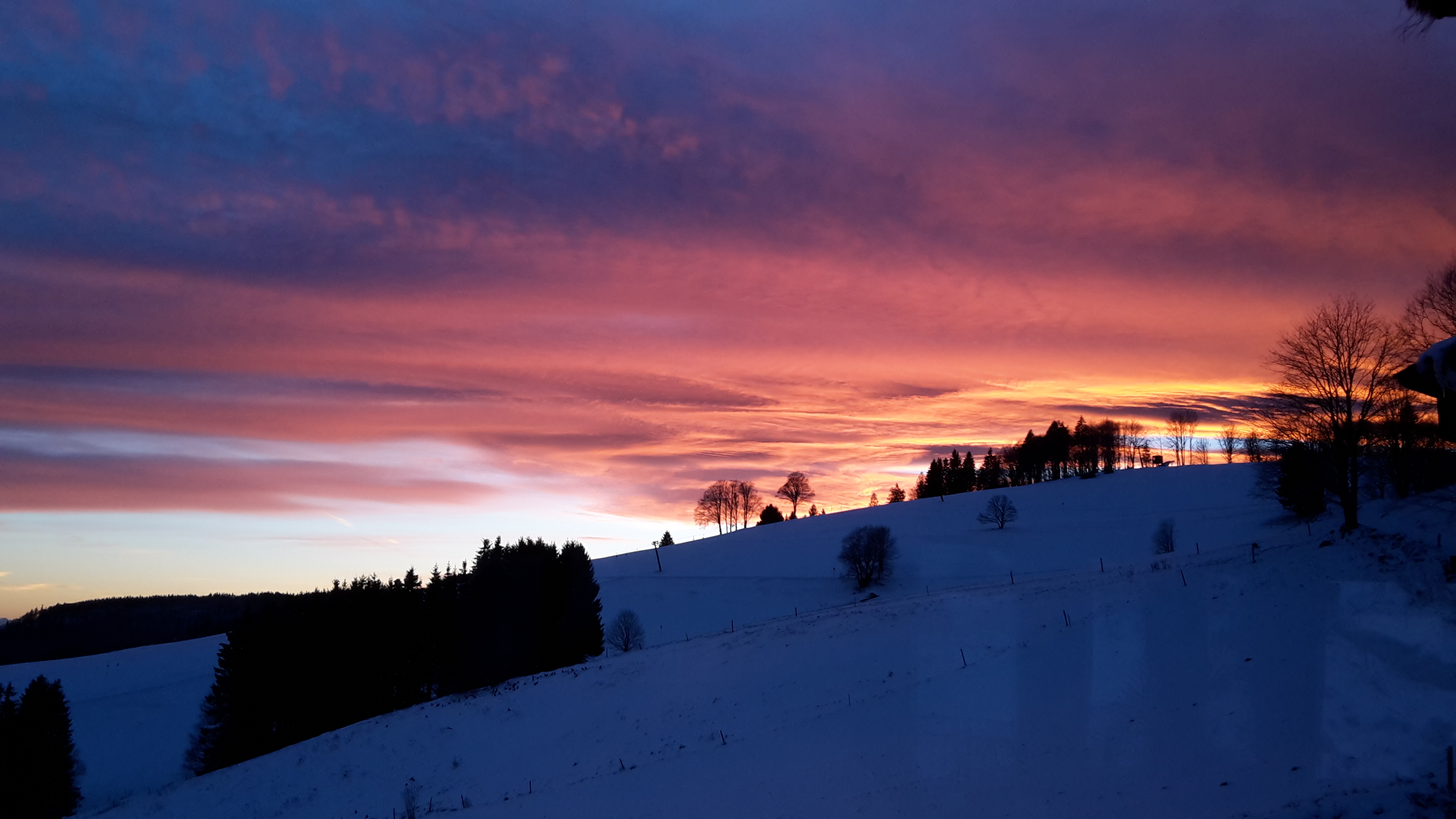 Wanderhotel: Blick von der Bergseele zu Bucklift - Bergseele Privat- & Retreathotel Schwarzwald