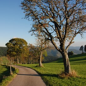 Wanderhotel: Panorama Lodge Sonnenalm Hochschwarzwald