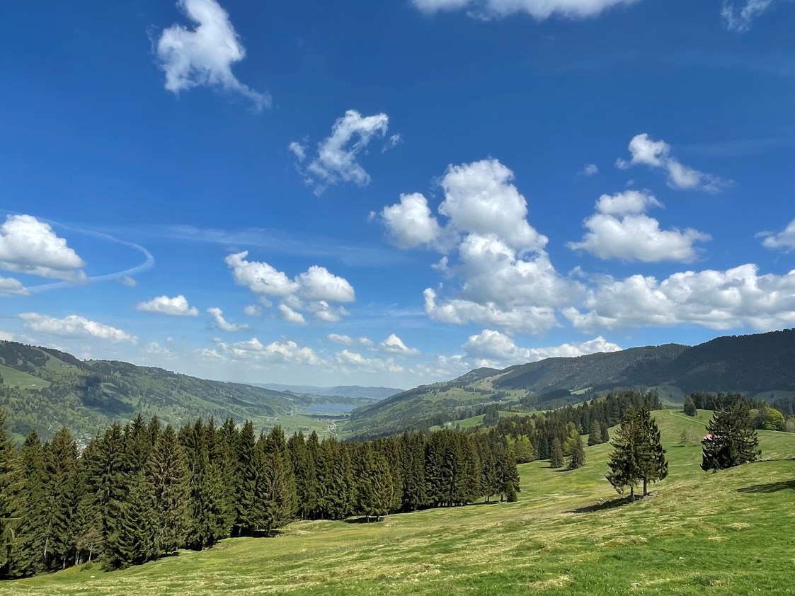 Wanderhotel: Allgäuer Frühling (Hündle) Blick auf den Alpsee in Immenstadt  - Lindner Parkhotel & Spa 