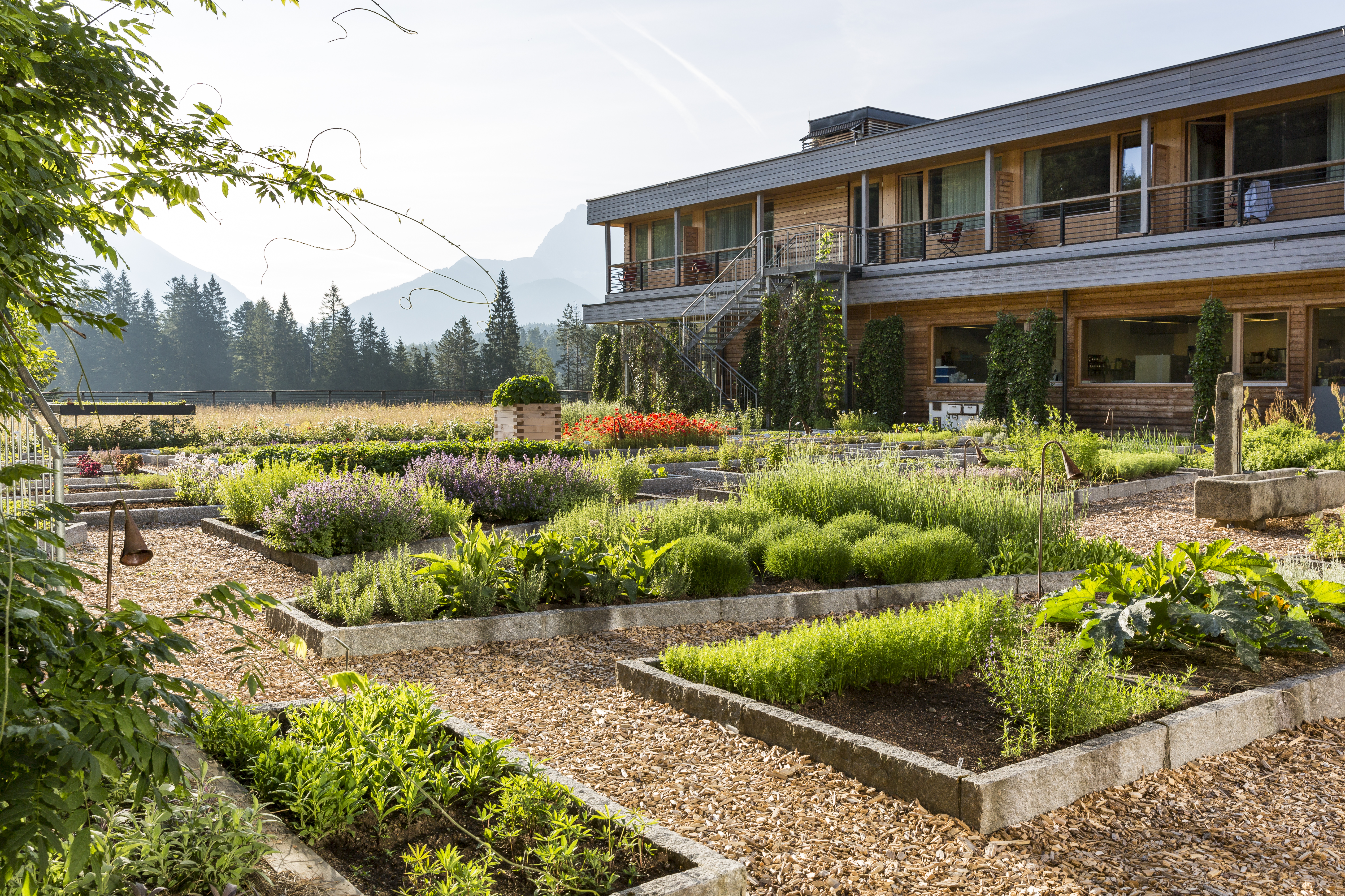 Wanderurlaub - geführte Touren - Leutasch - Das Kranzbach